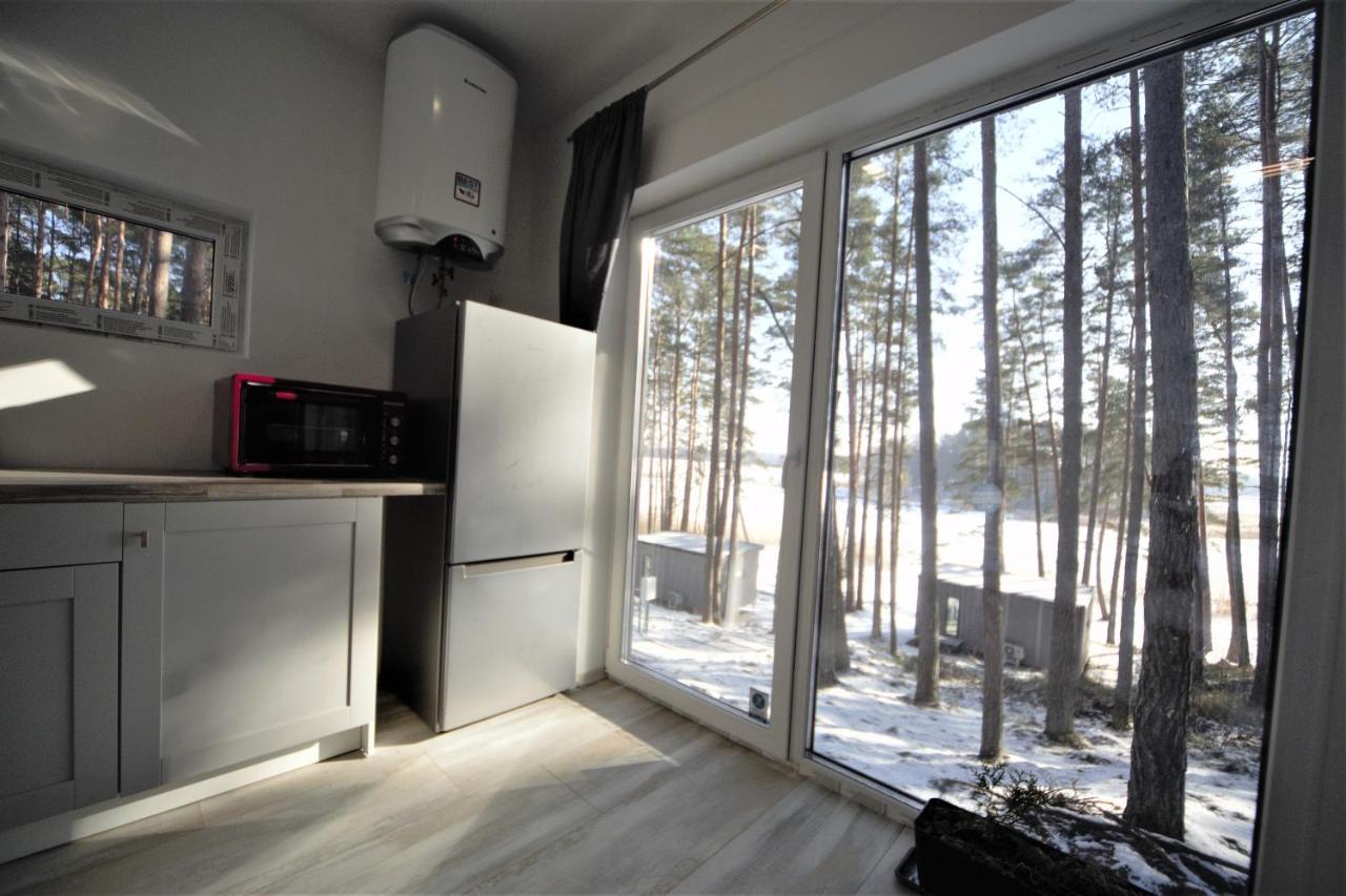 Gaujaclub - Our Bose And Bang&Olufsen Lofts On A Lake Gauja  Exterior photo