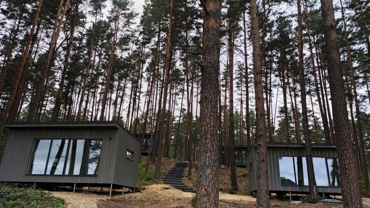 Gaujaclub - Our Bose And Bang&Olufsen Lofts On A Lake Gauja  Exterior photo